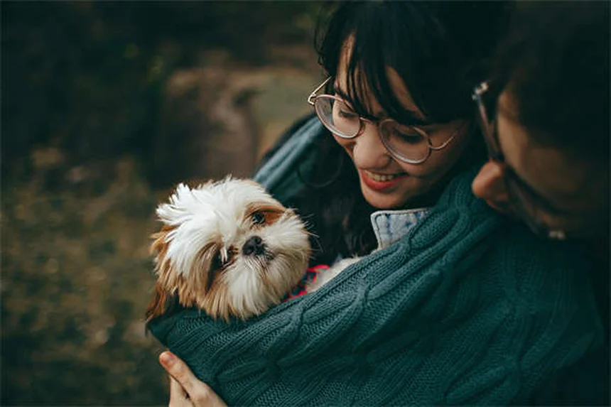 Chat agressif par peur : 5 solutions efficaces pour l'apaiser